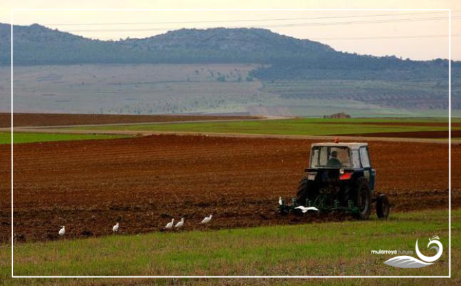 el-gobierno-introduce-nuevas-flexibilidades-en-la-aplicacion-de-la-politica-agraria