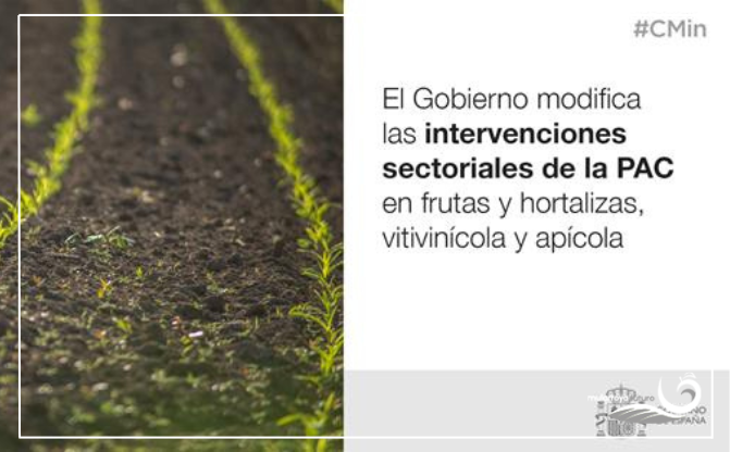 el-gobierno-modifica-las-intervenciones-sectoriales-de-la-pac-en-frutas-y-hortalizas-vitivinicola-y-apicola-para-mejorar-su-eficacia-y-fortalecer-el-apoyo-al-sector-agrario